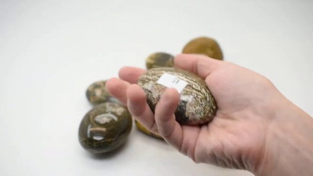 Ocean Jasper Galet Palmstone JASOGA005 смотреть онлайн