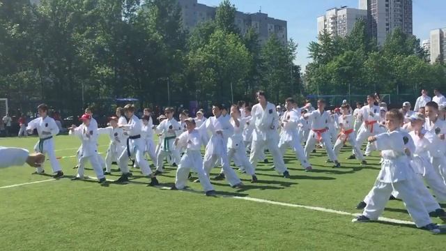 Закрытие сезона 2016 СК Альфа Будо смотреть онлайн