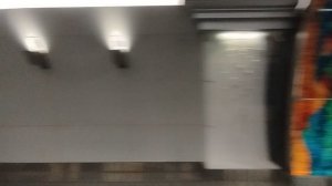 Станция петербургского метро «Театральная» из окна вагона. Сроки её открытия крайне туманны.