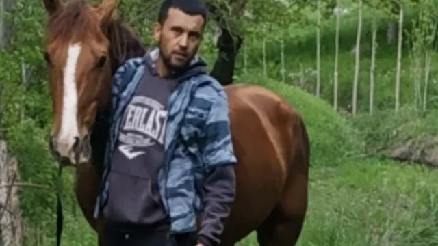 Сухлик полвонларга бита клас смотреть онлайн