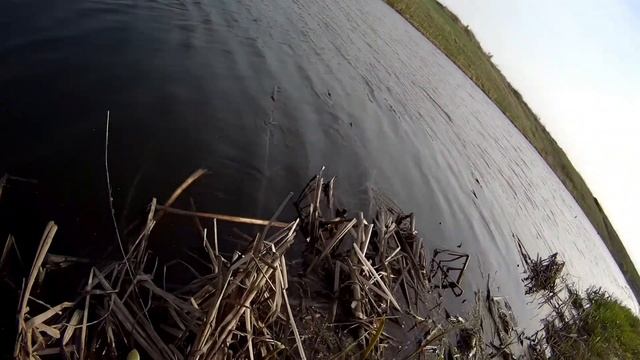 27 апреля 2024. Вываживание килограммового карася на Sabaneev Leader Pro 800! Боковой кивок!