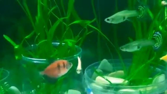 30 января 2022 г.