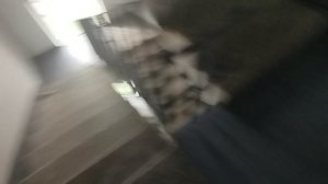 музыкальный лифт щлз экомакс 2018 от пик.