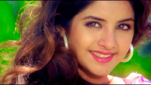 Aisi Deewangi Dekhi Nahi Kahi  Jhankar  Deewana 1992   Alka Yagnik, Vinod Rathod