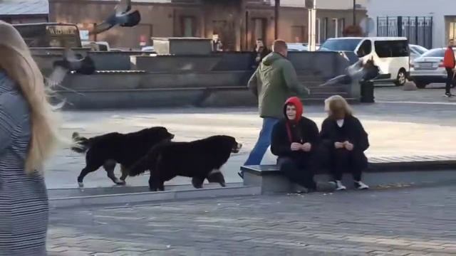 Отправить(1) смотреть онлайн