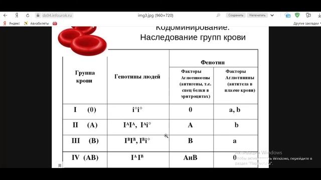 Биология с нуля. Неполное доминирование, кодоминирование. Группы крови человека. смотреть онлайн