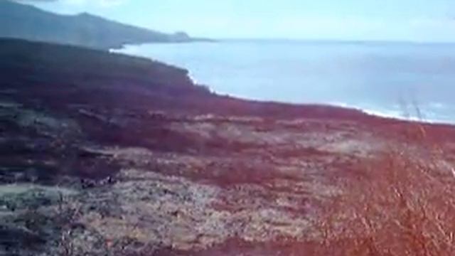 L'ile de la Réunion en vidéos смотреть онлайн