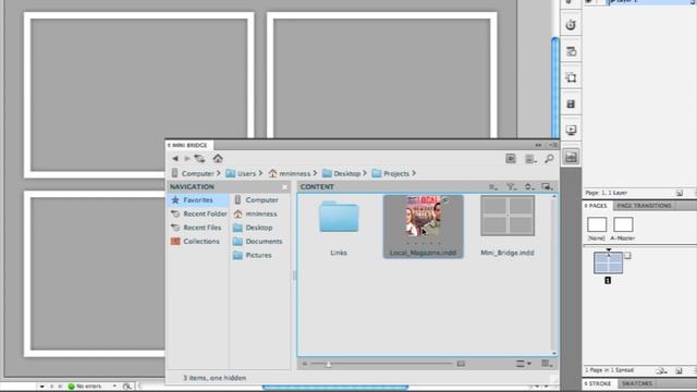 Adobe InDesign CS5:Adobe Mini Bridge Panel смотреть онлайн