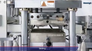 Блистерная линия для ампул и флаконов HoongA HM AV + HC120