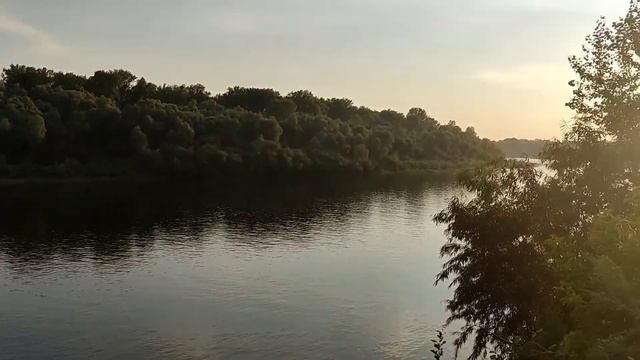 Вечерний дачный влог/купили кофе/природа/сделали шашлык смотреть онлайн
