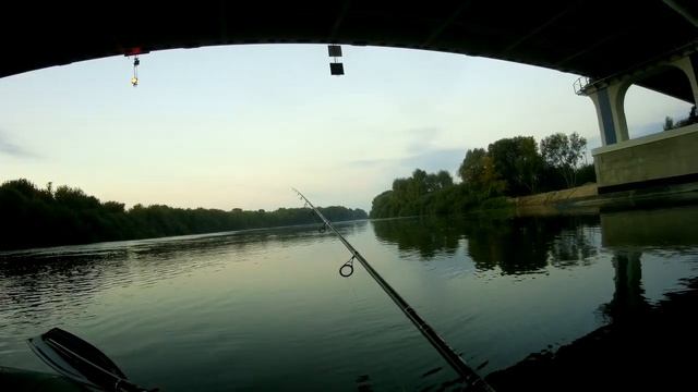 Осеннее издевательство СОМОВ + Джиг в коряжнике. #рыбалка #сом #квок #джиг