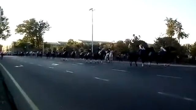 парад лошадей в ташкенте смотреть онлайн