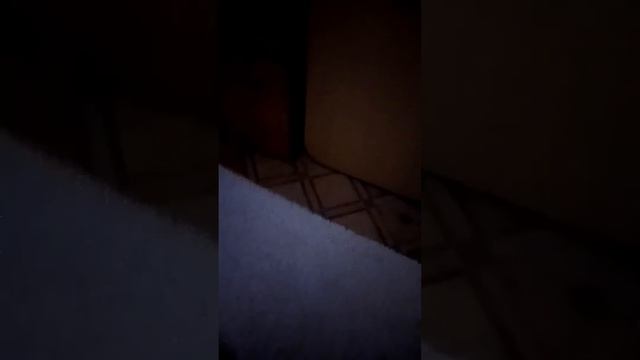 Привет сосед VR(сосед ушел за хлебом) смотреть онлайн