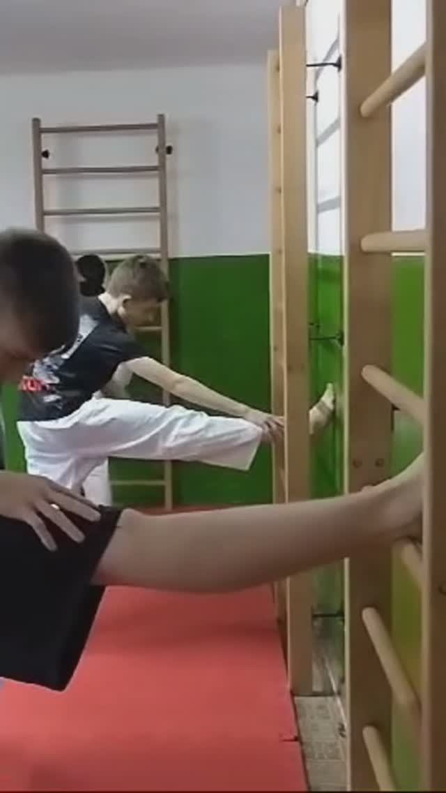 Тренировки с использованием шведской стенки Бэквуд. Волгоградская федерация кекусинкай