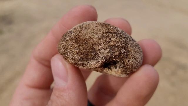 Rocks, Fossils & A Peaceful Journey, I'm Grateful For This World! смотреть онлайн
