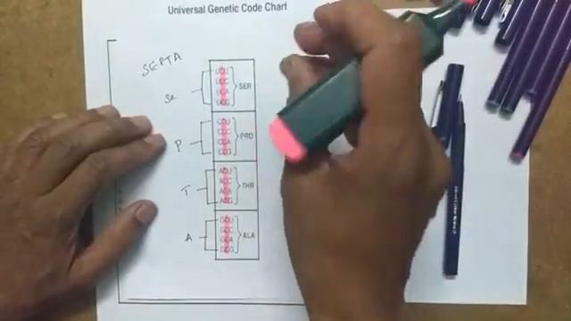 Genetic code made simple with mnemonics смотреть онлайн