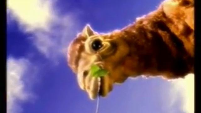 Camel - Matter of Taste (1992, Germany) смотреть онлайн
