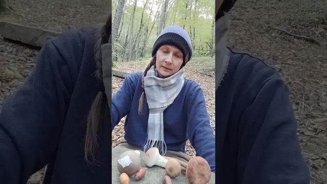 Возрождние24-25.
