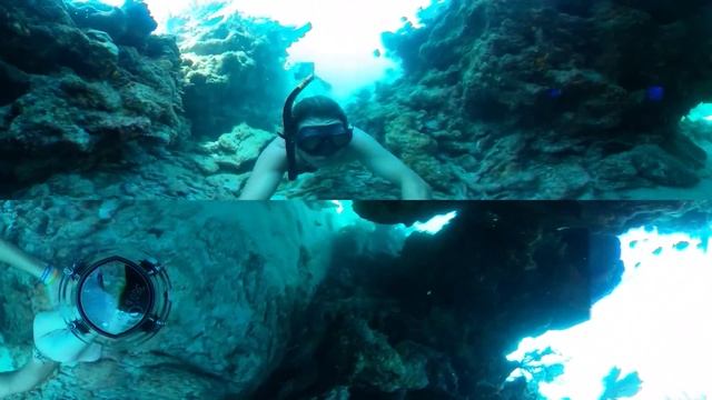 Looe Key Swim Through with Goliath Grouper - Ricoh Theta V with 360bubble смотреть онлайн