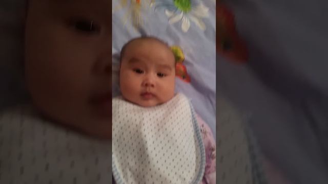 Таттим - ау смотреть онлайн