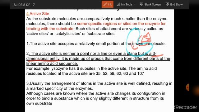 Properties of Enzyme смотреть онлайн