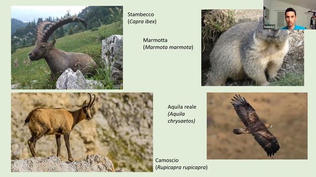 Flora e Fauna - IS Federico Ravarotto corso E1 2021 смотреть онлайн