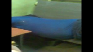 саня вставай