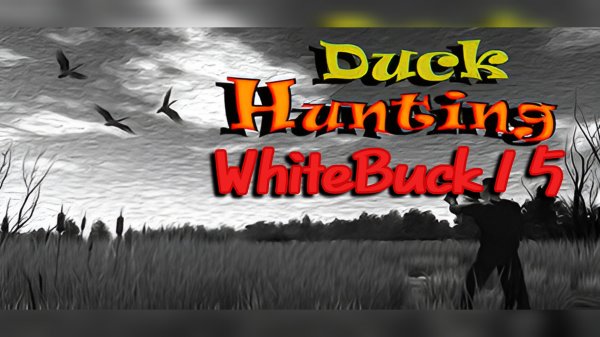 Прохождение игры Duck Hunting