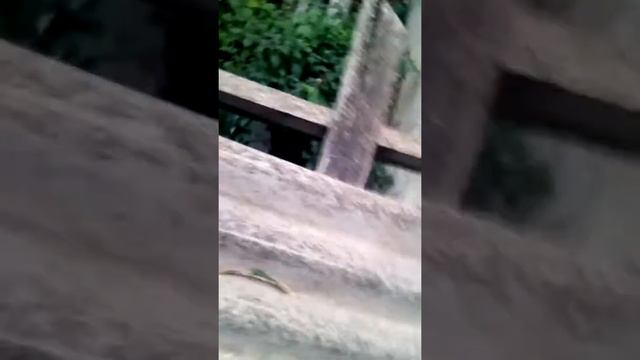 ПАРКУР! смотреть онлайн