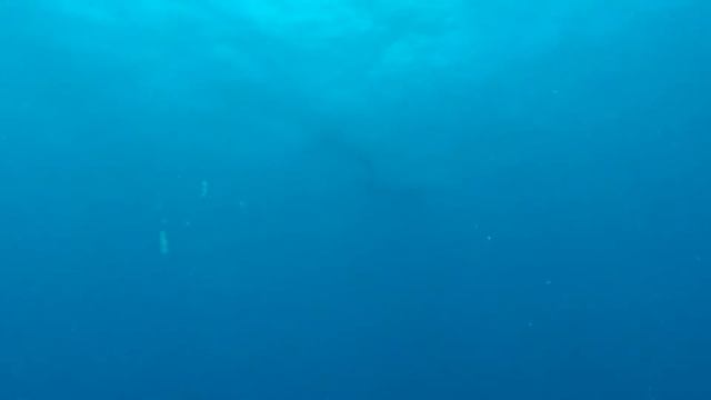 manta nc4 смотреть онлайн