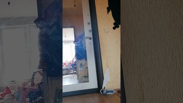 Что делает собака когда никого нету дома смотреть онлайн