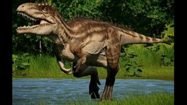 Giganotosaurus VS Carcharodontosaurus  Who Would Win