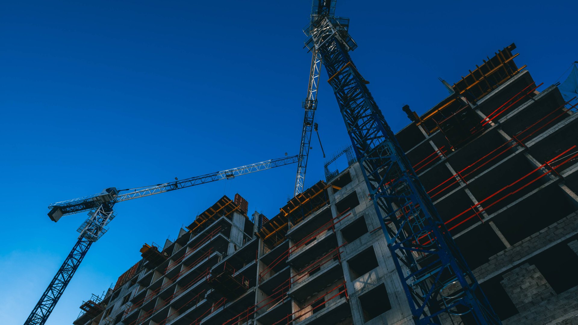 Дом Нойферта: итоги 2024 года