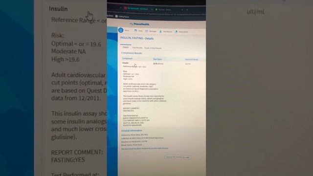 Carnivore Bloodwork Update смотреть онлайн