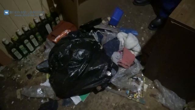«Девочка – маугли» из Талдома смотреть онлайн