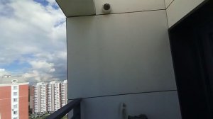 лифт Отис 2017 от пик. снят был только пассажирский. грузовой был в ремонте