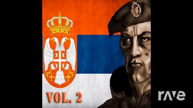 Kebab Polka - Razni Izvodjaci - Topic & Will Glahé | RaveDj