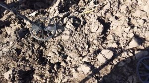 С металлоискателям Gold Hunter T-90 По распашке