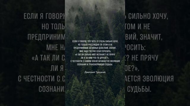 7 февраля 2023 г. смотреть онлайн