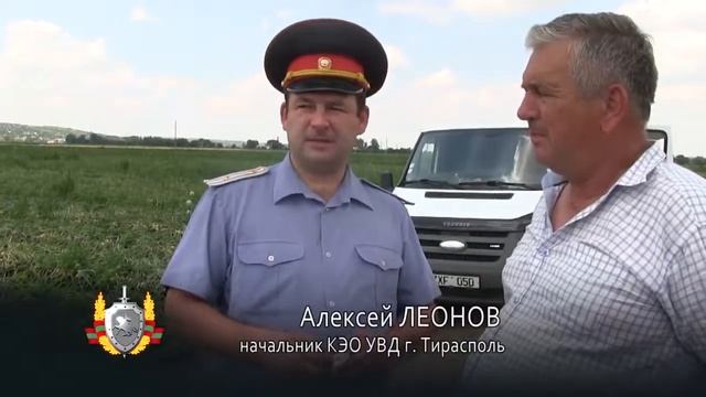 Операция "Мак" в разгаре смотреть онлайн