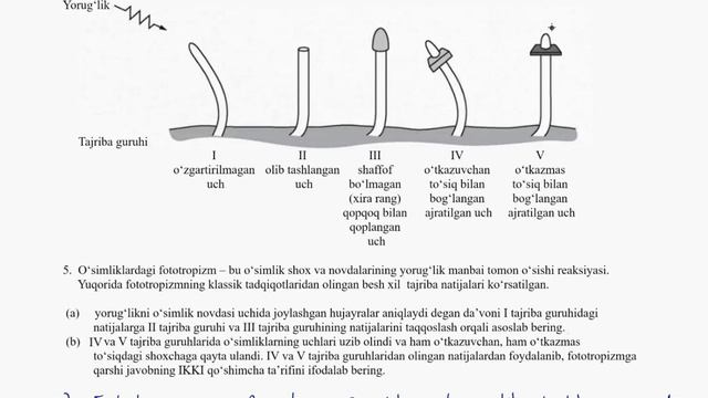 Biologiyadan masalalar 5 | Botanika | Biologiya смотреть онлайн