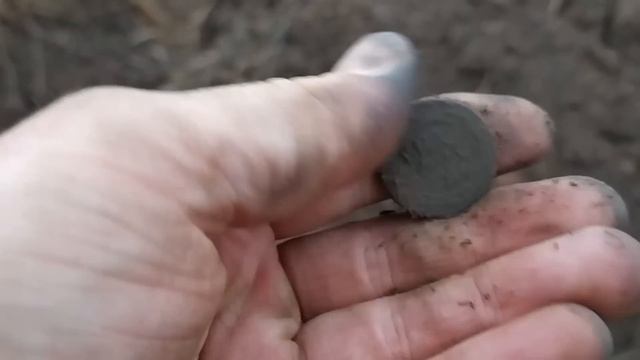 Шурф интересного Хутора. Много монет.