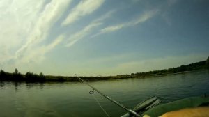 ЛОВЛЯ ЖЕРЕХА НА МЕЛКОВОДЬИ. ДОЖДАЛИСЬ. #рыбалка #спиннинг #жерех