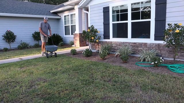 4 Easy Steps To Do Your Own Pest Control At Home | How I Do My Own Pest Control смотреть онлайн