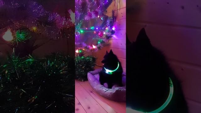 Я походу I Love You ❤️