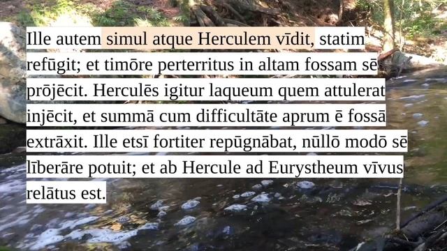 Fabula Herculis 24. Fabulae Faciles. смотреть онлайн
