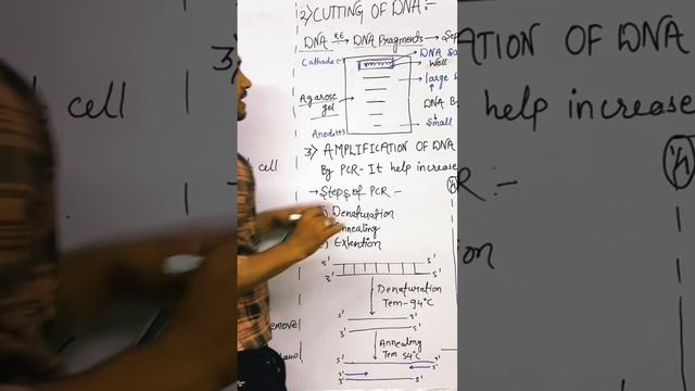 #biotechnology #gelelectrophoresis #viralvideo #science смотреть онлайн