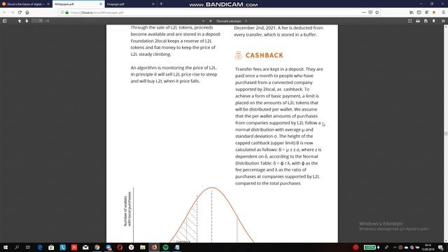 2Local whitepaper(tanıtım belgesi) incelemesi смотреть онлайн