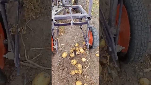 Ненаглядный мотоблок