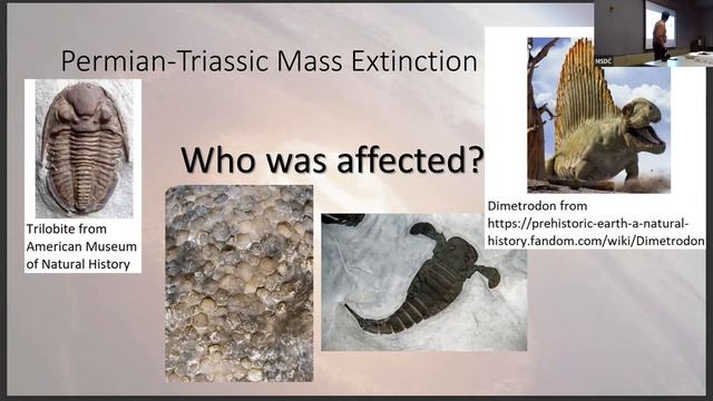 Super Stellar Friday: Where are the Dinosaurs? A Short History of Mass Extinction смотреть онлайн